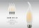 C35霧面拉尾LED蠟燭燈泡-BNL00112 